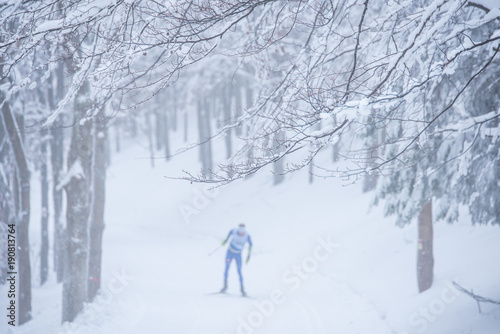Nordic ski, magic winter white forest, edit space © kovop58