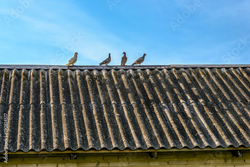 spotkanie na dachu