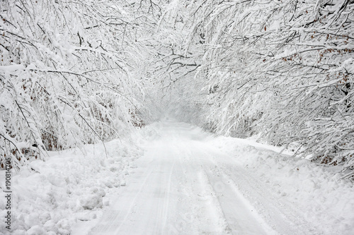 Road covered in heavy snow through a wood