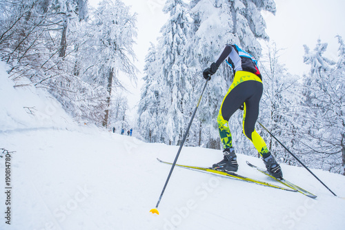 Colorful view of cross-country skiing path in beautiful winter