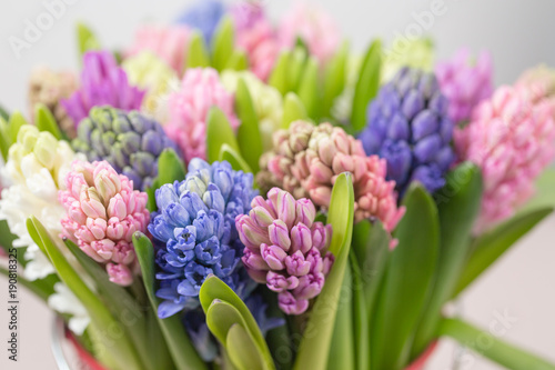 hyacinth closeup. Flower shop concept. Mixed color. Fresh spring flowers in refrigerator room for flowers. Bouquets on shelf, florist business.