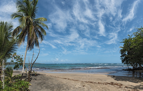 Fototapeta Naklejka Na Ścianę i Meble -  Panorama view of a beach with palm trees south of Puerto Viejo de Talamanca, Costa Rica