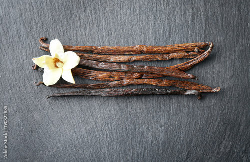 Vanilla sticks and flower on dark background