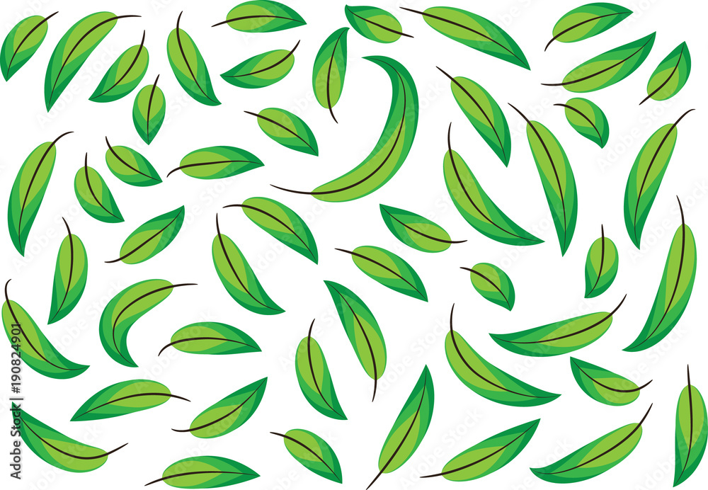 Fototapeta premium leaf background