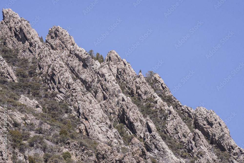 Ramshorn Canyon Limestone in Idaho