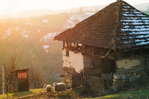 Traditional Serbian rustic sheep barn