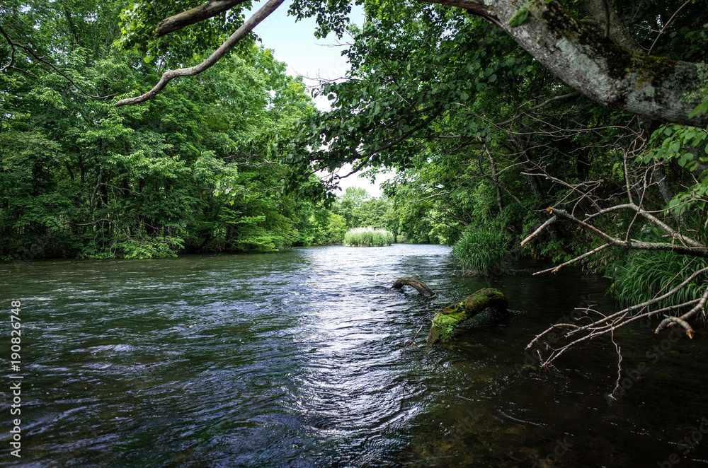 Obraz premium 北海道の千歳川