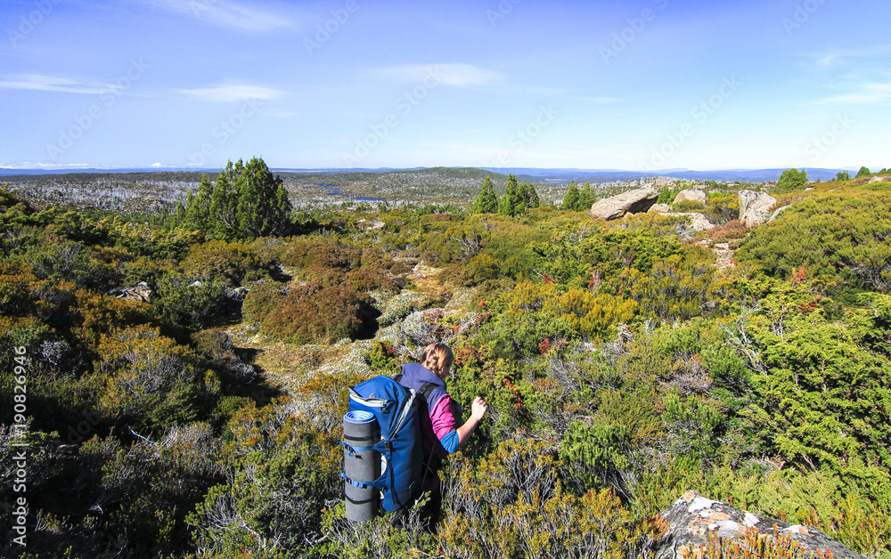 A hiker explores an off-trail section of the Walls of Jerusalem National Park, Tasmania.