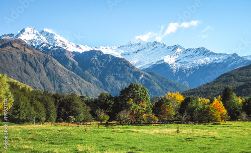 Green grassy fields and autumn-colored trees lie below massive icy peaks in the Matukituki Valley on New Zealand's south island.