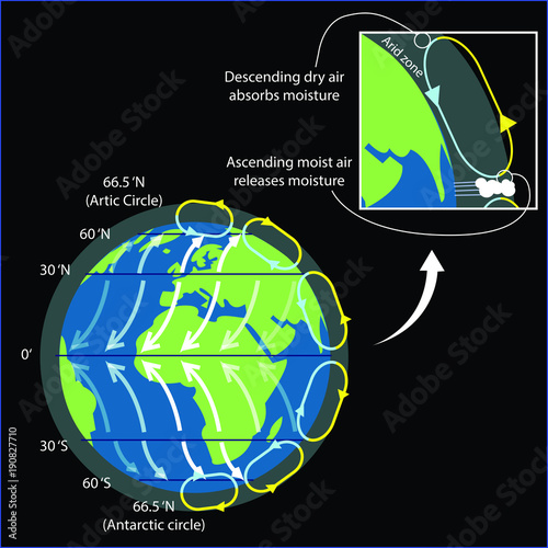 Vector illustration of the water cycle on earth. Temperature and climate on the globe.