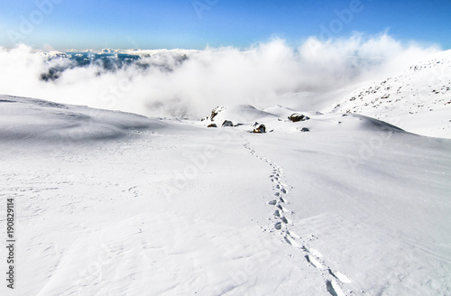 Footsteps lead along a snowfield to the summit of Mt. Ruapehu in New Zealand. photo