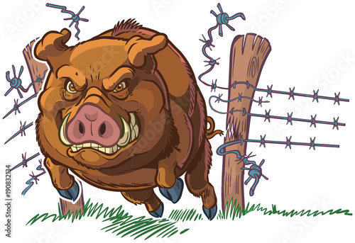 Pig or Wild Boar Crashing Through Fence Vector Cartoon