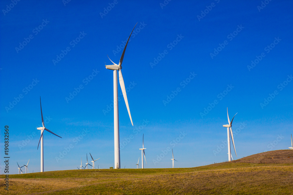 Field Of White Energy Wind Mills Against Blue Sky Field Of White Energy Wind Mills Against Blue Sky