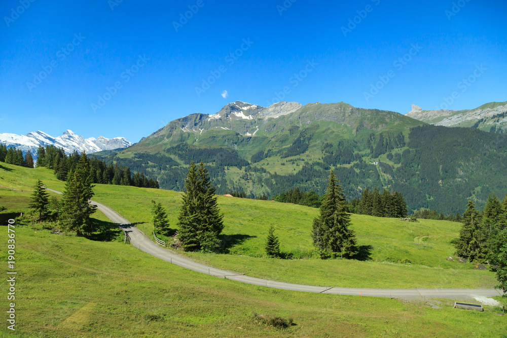 Beautiful summer view of mountain. Outdoor natural scene in Swiss Alps, Switzerland, Europe.