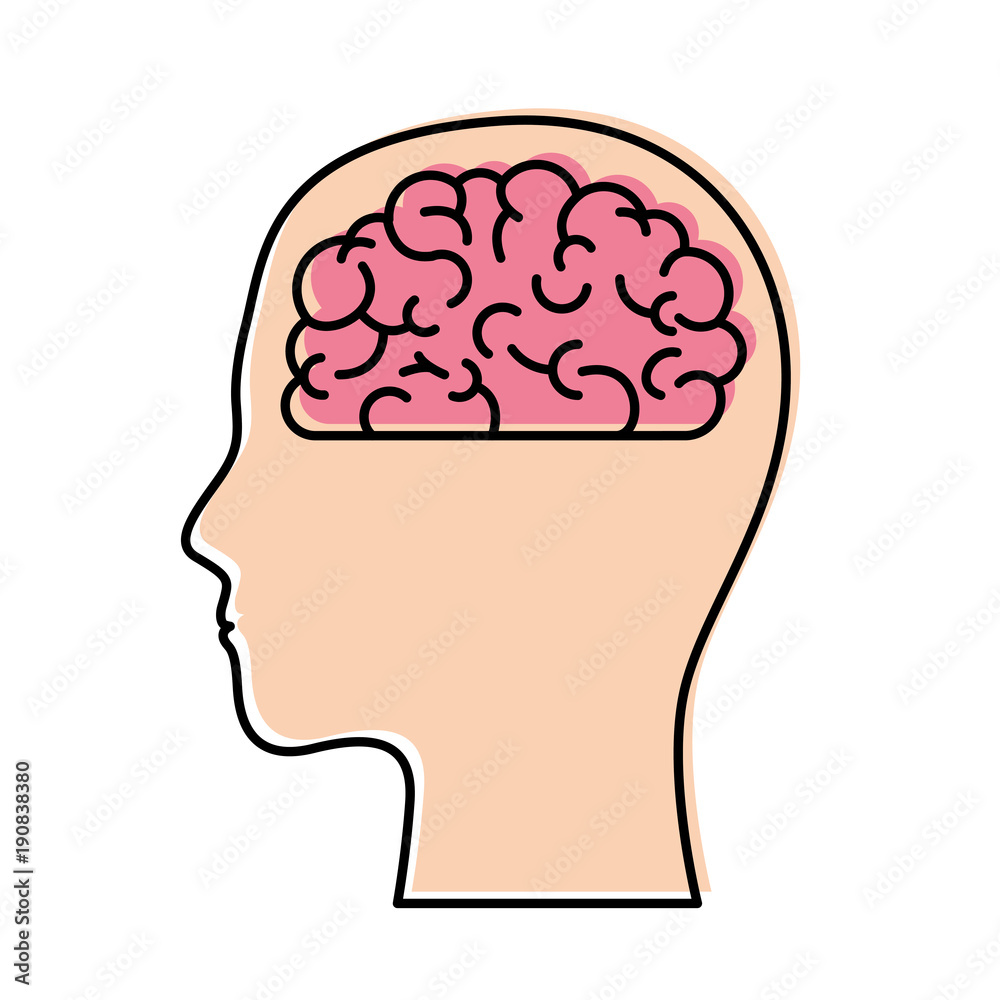 human head face brain science mind intelligence vector illustration human head face brain science mind intelligence vector illustration
