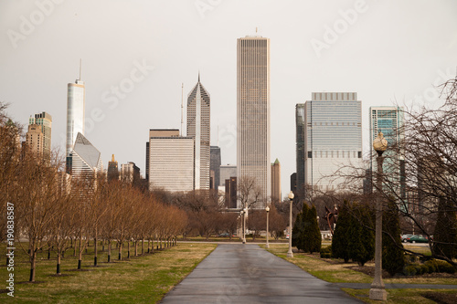 Downtown Chicago Illinois Skyline Stark Winter Park Trees