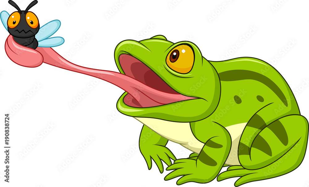 Obraz premium Kreskówka żaba łapie muchę