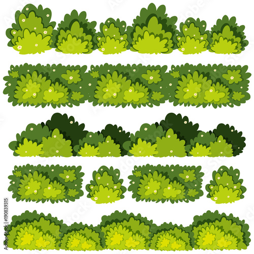 Five different patterns of green bushes