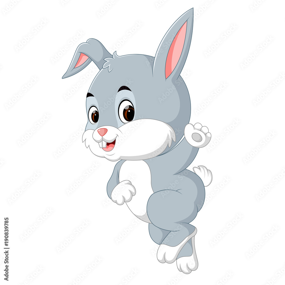 Cute rabbit cartoon Cute rabbit cartoon