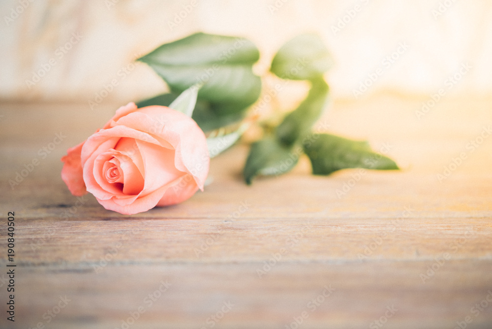Pink rose flower on wooden floor Valentine's Day Pink rose flower on wooden floor Valentine's Day