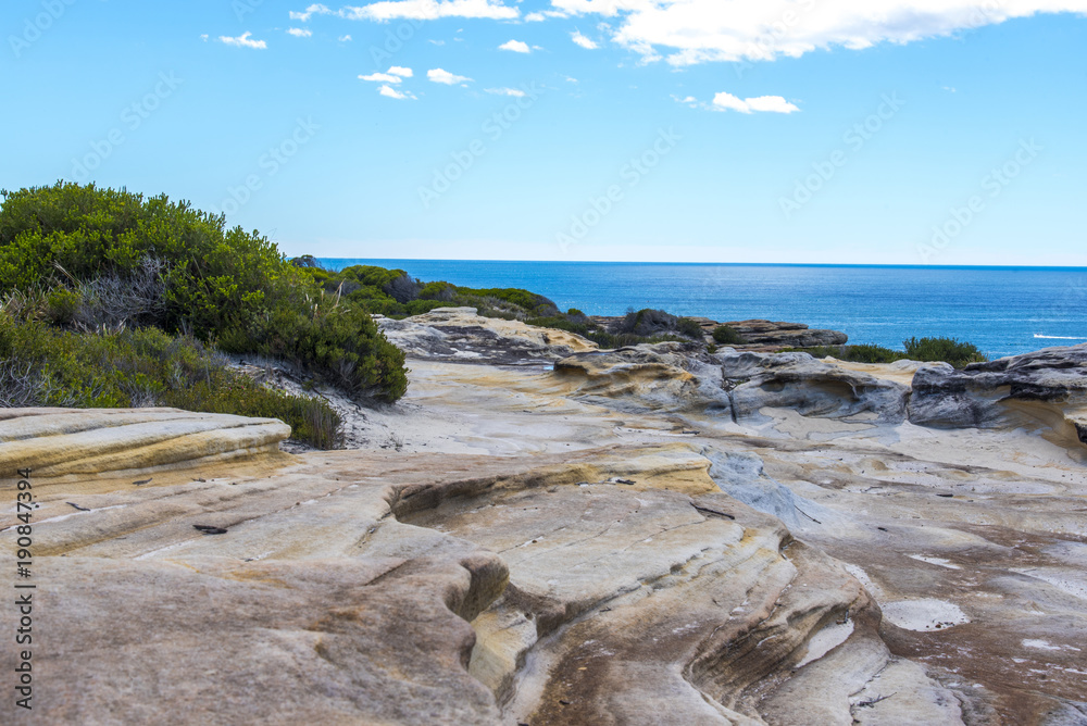 Royal National Park in Sydney Australia