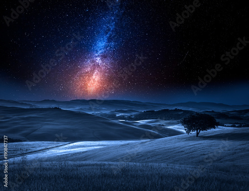 Milky way and tree on field...