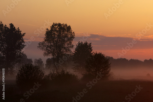 Panoramic view of colorful sunrise over wetlands and meadows wildlife refuge by the Biebrza river in Poland