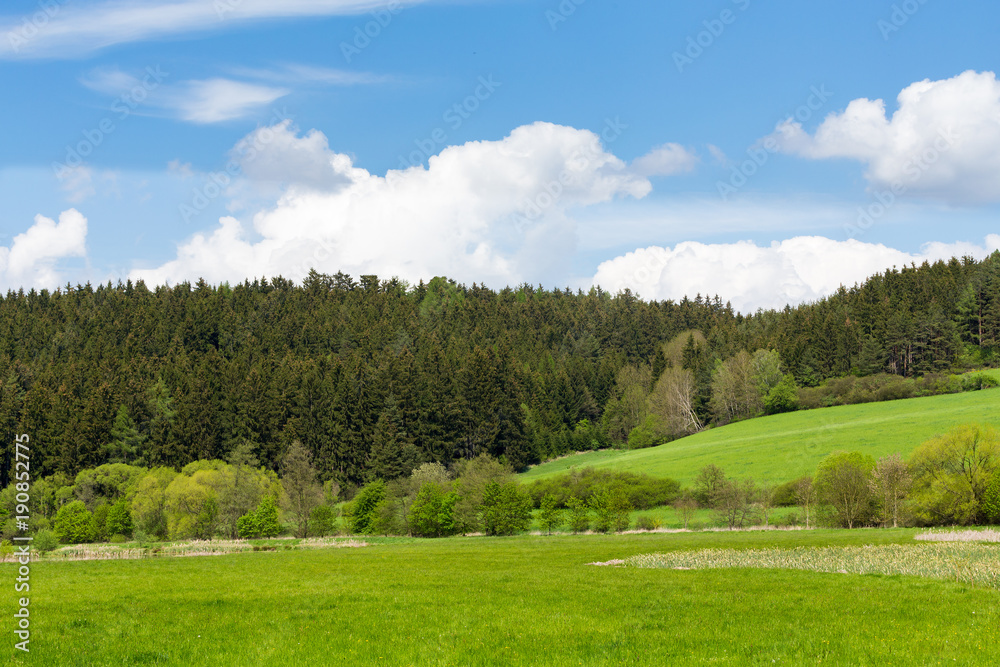 Beautiful spring rural landscape