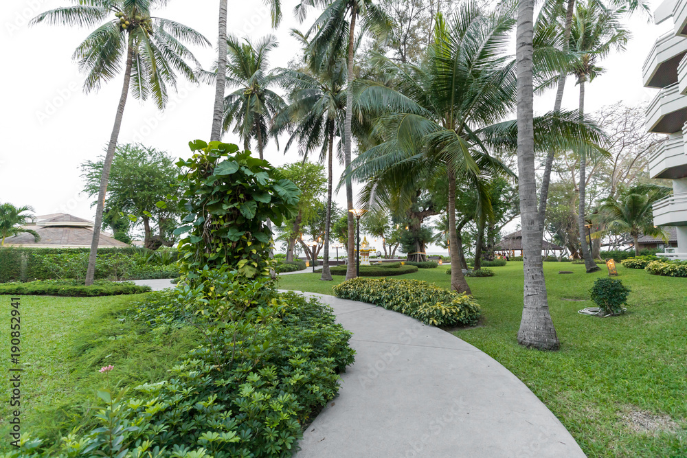 Road pathway outdoor with Nature garden sunlight Road pathway outdoor with Nature garden sunlight