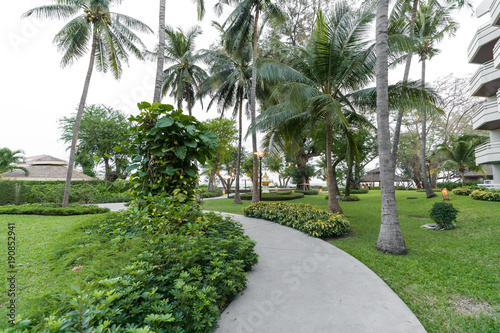 Road pathway outdoor with Nature garden sunlight