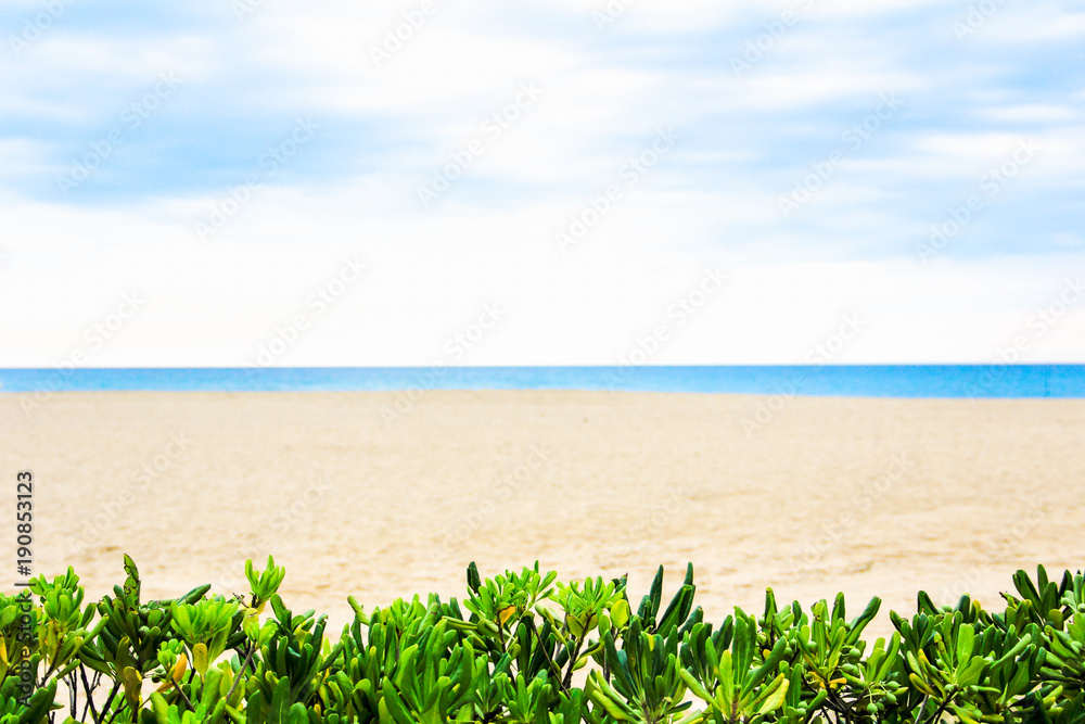 Tropical beach, blue sea, white sand in summer day. Leaves green plants on foreground. Vacation background. Seascape blurred background, peaceful beach, sandy coastline.