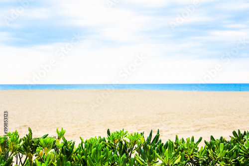 Canvas Print Tropical beach, blue sea, white sand in summer day