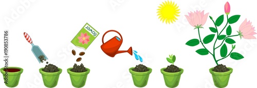 Instructions on how to plant flower in six easy steps. Step by step