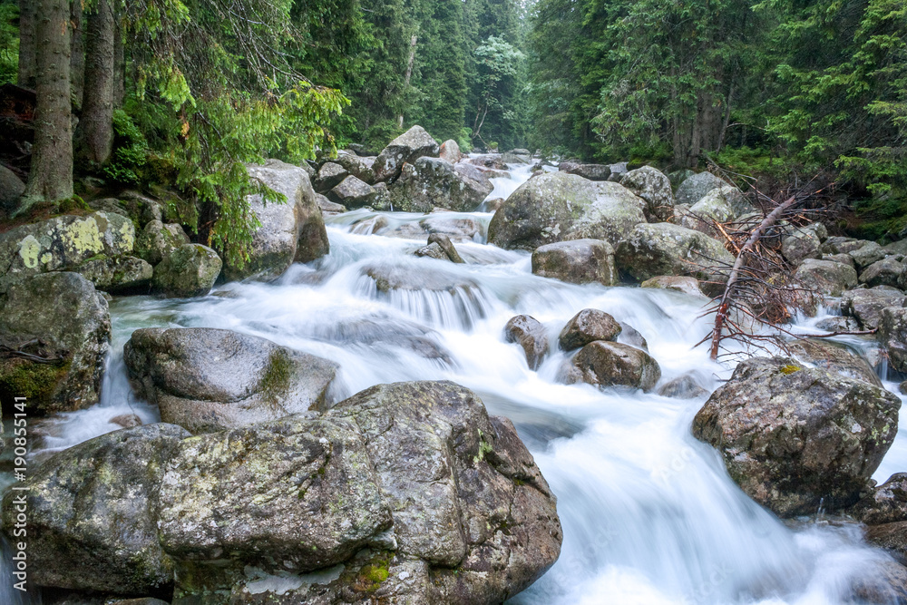 Mountain stream in High Tatras National Park, Slovakia, Europe.