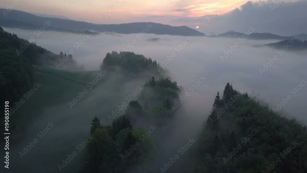 Flight over misty forest in morning sunrise Flight over misty forest in morning sunrise