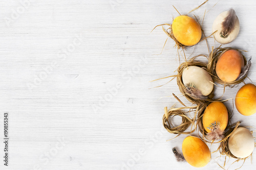 Background with yellow Easter eggs in the small nests