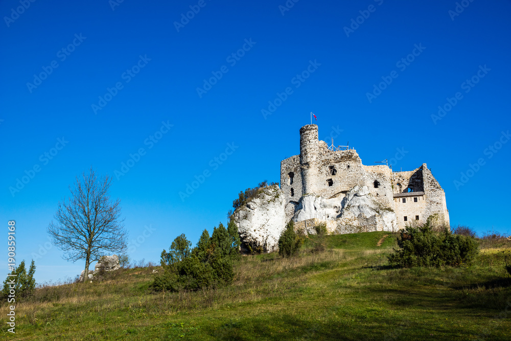 Castle in Mirow on the Jura Krakowsko-Czestochowska, Poland Castle in Mirow on the Jura Krakowsko-Czestochowska, Poland