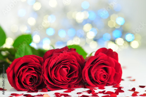 Three Roses on light background for valentine  wedding  birthday and for love.