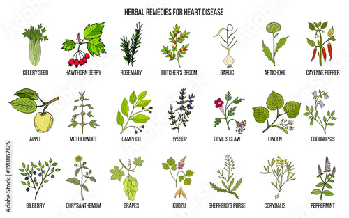 Collection of best herbs for heart disease
