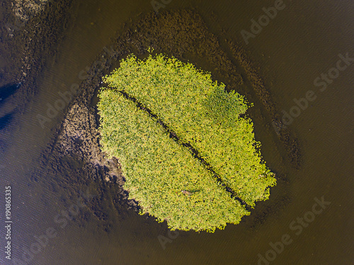 Danube Delta vegetation as seen from above aerial view