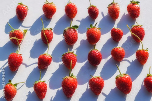 fresh strawberry fruit background photo