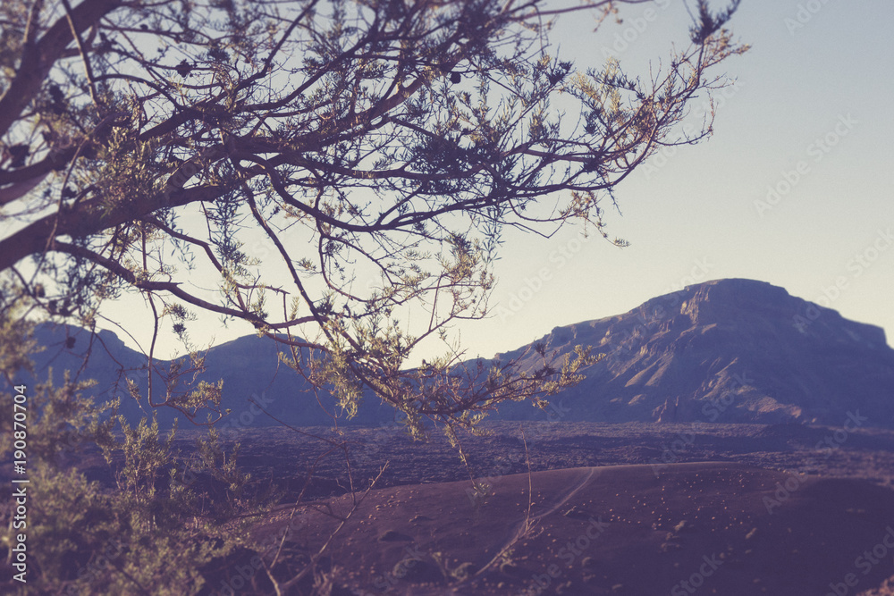 Vivid sunrise in the mountains. Vivid sunrise in the mountains.