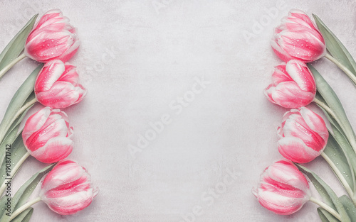 Fototapeta Naklejka Na Ścianę i Meble -  Lovely pastel pink tulips frame at light background, top view. Layout for springtime holidays. Mother day greeting card