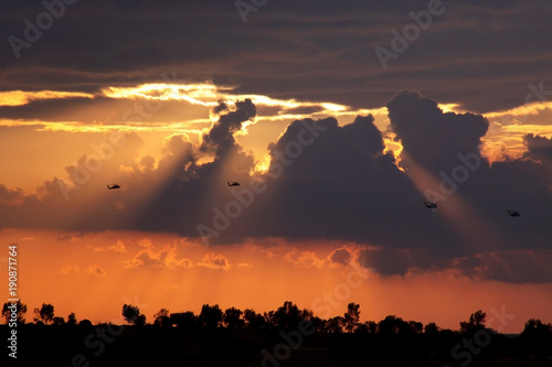 Decline in the Negev desert