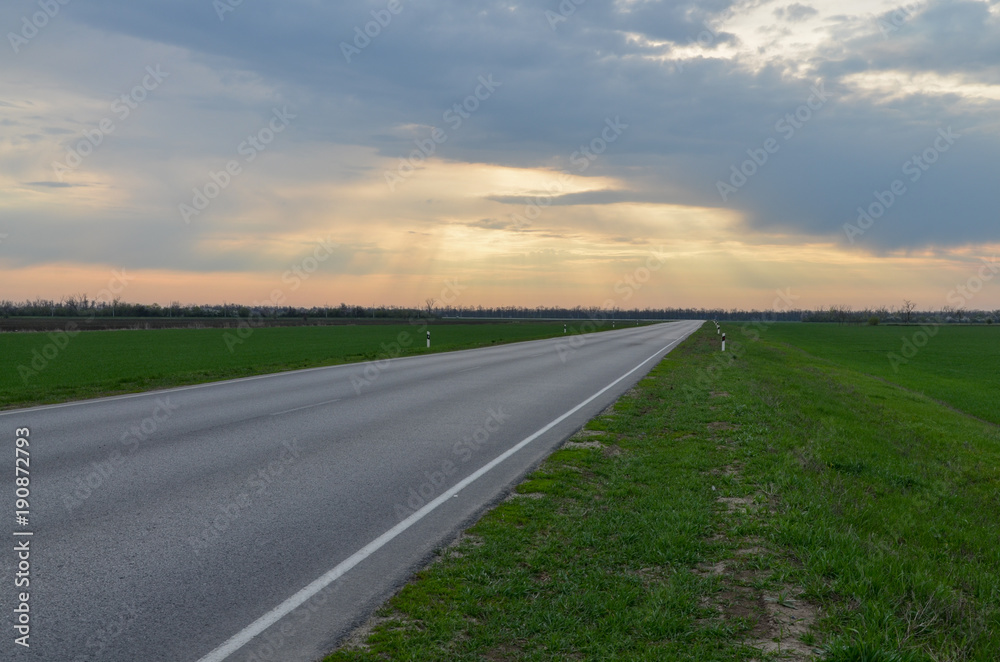 empty countryside road in the green farming lands  Tselina, Rostov region, Russia