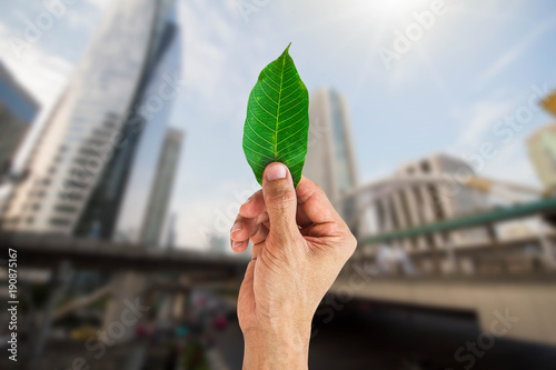 Man hand holding green leaf on blurred city background, envionmental concept photo