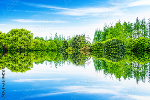 Foto A beautiful forest by the river
