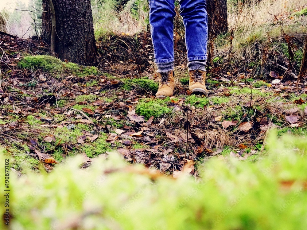 Wanderlust Wanderlust