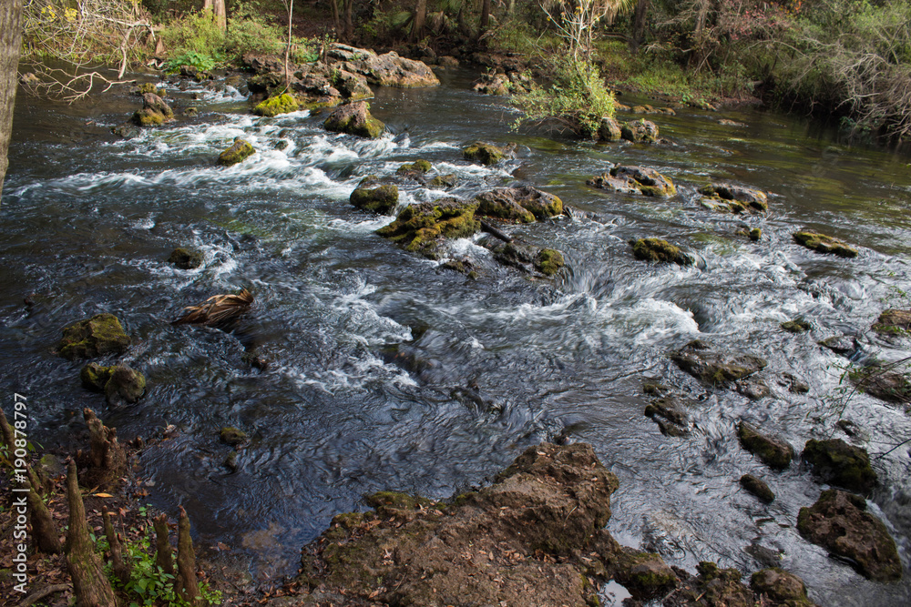 Rapids Rapids
