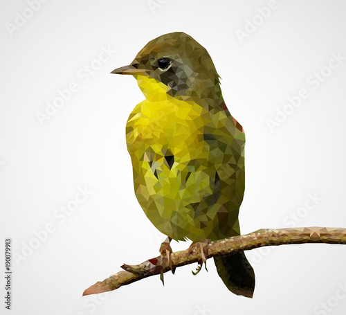 Colorful polygonal bird, Vector, Illustration, Eps File